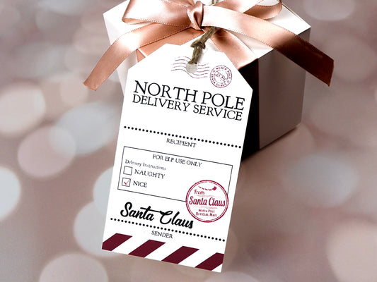 White rectangular Christmas gift tag designed to resemble a delivery label from the North Pole. The tag reads North Pole Delivery Service at the top, with sections for the recipient and sender, and a checkbox list for Delivery Instructions, marked with Nice. There is a red Santa Claus stamp at the bottom right and diagonal red stripes along the bottom edge.